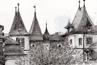 Sierre Rooftops Switzerland by Vincent Alexander Booth